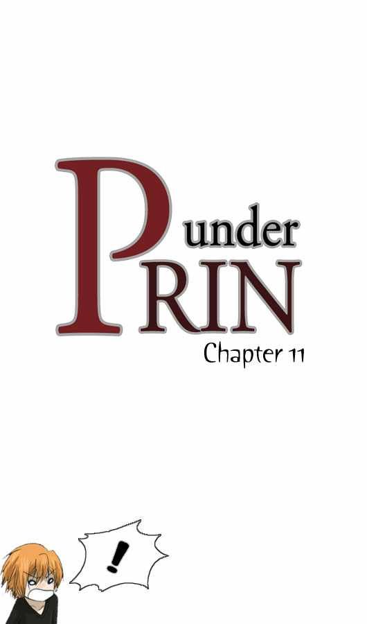 Under PRIN Chapter 11 1